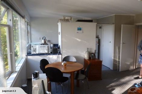 Photo of property in 4 Raroa Road, Kelburn, Wellington, 6012