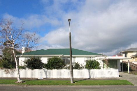 Photo of property in 63 Miro Street, Takaro, Palmerston North, 4410