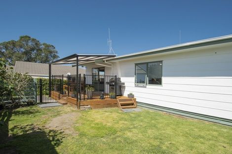 Photo of property in 46b Haukore Street, Hairini, Tauranga, 3112