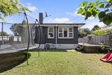 Photo of property in 3 Carrington Avenue, Hillcrest, Hamilton, 3216