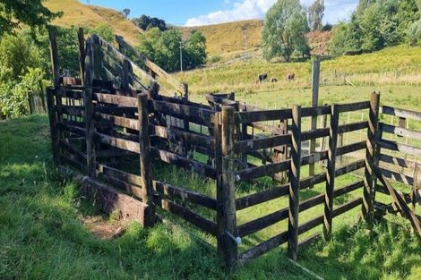 Photo of property in 216 Potts Road, Koputaroa, Levin, 5571