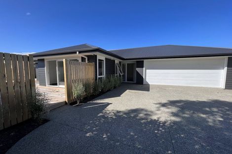 Photo of property in 95b Linton Street, West End, Palmerston North, 4410