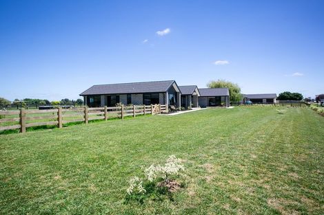 Photo of property in 46 Seachange Drive, Leamington, Cambridge, 3432