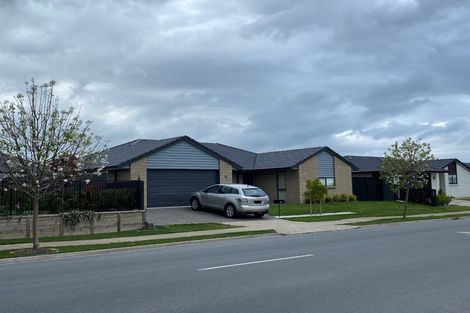 Photo of property in 42 Te Ranga Memorial Drive, Pyes Pa, Tauranga, 3112