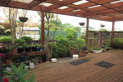 Photo of property in 31 Wrigley Street, Waihi, 3610