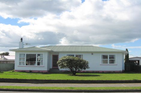 Photo of property in 15 Braemar Street, Levin, 5510