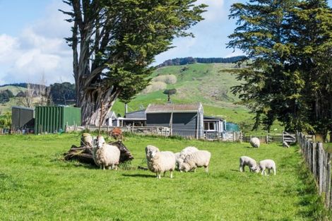 Photo of property in 114 Langdale Road, Whareama, Masterton, 5872