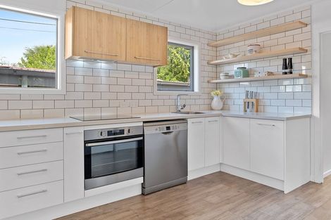 Photo of property in 17 Godley Street, Twizel, 7901