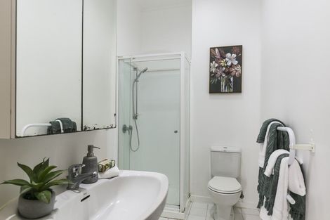 Photo of property in Mendosa Terraces Apartments, 14/9 Ebor Street, Te Aro, Wellington, 6011