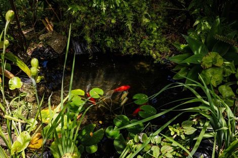 Photo of property in 118 Wiroa Road, Kerikeri, 0293