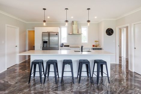 Photo of property in 21 Pukeko Road, Bunnythorpe, Feilding, 4775