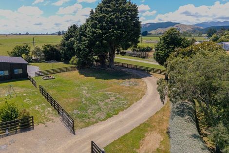 Photo of property in 324 Kimberley Road, Levin, 5571