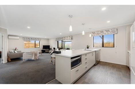 Photo of property in 4 Patatee Terrace, Baverstock, Hamilton, 3200