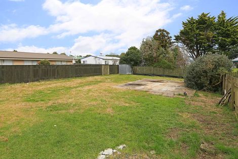 Photo of property in 45a Fairdene Avenue, Henderson, Auckland, 0610