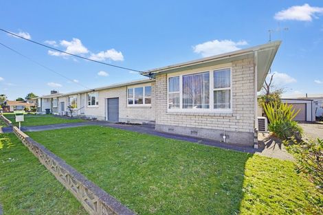 Photo of property in 149 Winchester Street, Levin, 5510