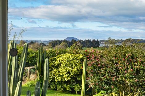 Photo of property in 91 Morton Road, Aongatete, Katikati, 3181
