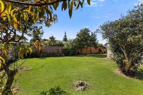 Photo of property in 40 Exeter Crescent, Springvale, Whanganui, 4501