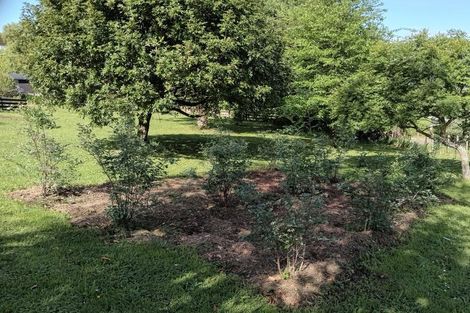 Photo of property in 165 Te Tahi Road, Puketotara, Te Awamutu, 3876