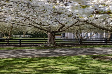 Photo of property in 184 Vicenza Drive, Ohoka, Kaiapoi, 7692