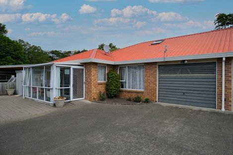 Photo of property in 47b Thorn Street, Caversham, Dunedin, 9012