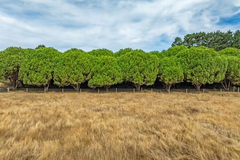 Photo of property in 78 Donnelly Road, Foxton, 4891