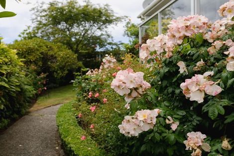 Photo of property in 3 Sandringham Street, Saint Clair, Dunedin, 9012