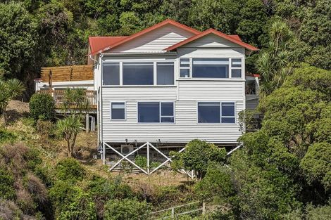 Photo of property in 43 Farnham Street, Mornington, Wellington, 6021