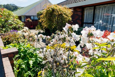 Photo of property in 53b Rutherford Street, Caversham, Dunedin, 9012