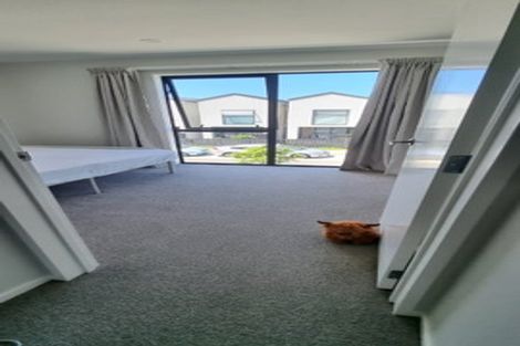 Photo of property in 117 Coronation Road, Hillcrest, Auckland, 0627