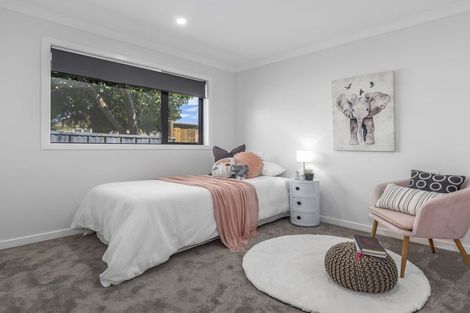 Photo of property in 16a Saint Annes Street, Levin, 5510