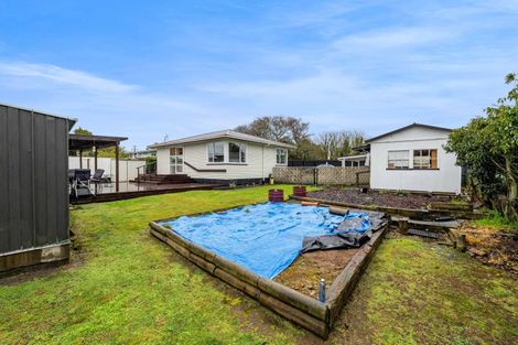 Photo of property in 22 Brecon Road, Stratford, 4332