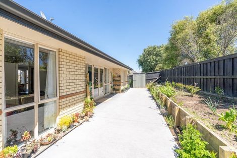 Photo of property in 8 Rochford Court, Hamilton East, Hamilton, 3216