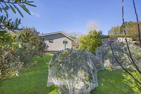 Photo of property in 199a Pond Road, Raglan, 3295