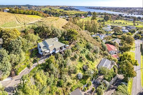 Photo of property in 14 Ngatarua Road, Putiki, Whanganui, 4500