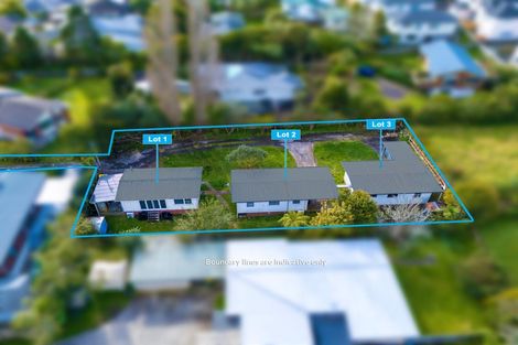 Photo of property in 1/60a View Road, Henderson, Auckland, 0612