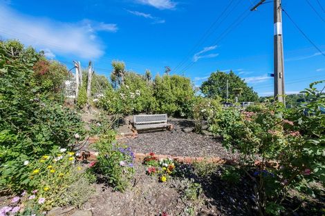 Photo of property in 19 Ryehill Street, Calton Hill, Dunedin, 9012