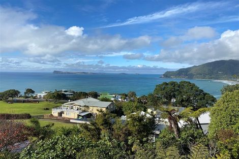 Photo of property in 252 Paku Drive, Tairua, 3508