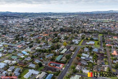 Photo of property in 16 Puriri Road, Pukekohe, 2120