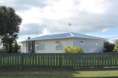 Photo of property in 17 Braemar Street, Levin, 5510