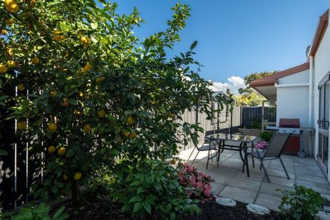 Photo of property in 70a Muller Road, Blenheim, 7201