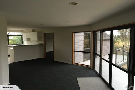 Photo of property in 650 East Maddisons Road, Rolleston, 7614