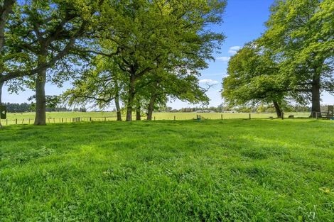 Photo of property in 81c Horrell Road, Morrinsville, 3374