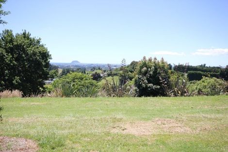 Photo of property in 229e Crawford Road, Minden, Tauranga, 3171
