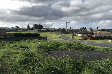 Photo of property in 43 Balmacewan Drive, Te Kamo, Whangarei, 0112