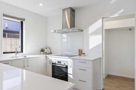 Photo of property in 21 Herridge Street, Woodend, 7610