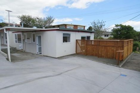 Photo of property in 19a Parsons Street, Vogeltown, New Plymouth, 4310