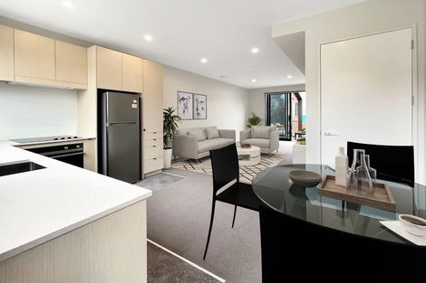 Photo of property in Aniva Terrace, 22 Ferguson Street, Newtown, Wellington, 6021