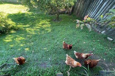 Photo of property in 11 Tutea Place, Paengaroa, Te Puke, 3189