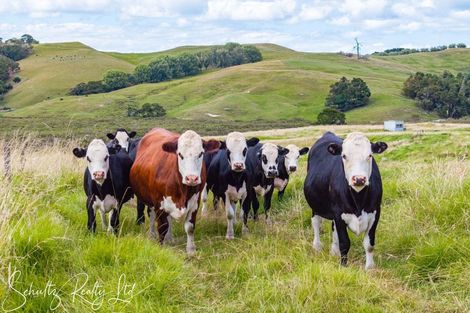 Photo of property in 215c Heatley Road, Whakapirau, 0583