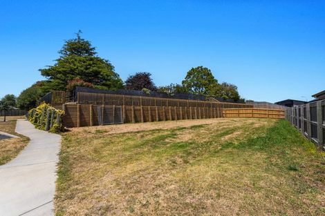 Photo of property in 6 Takahe Close, Coastlands, Whakatane, 3120